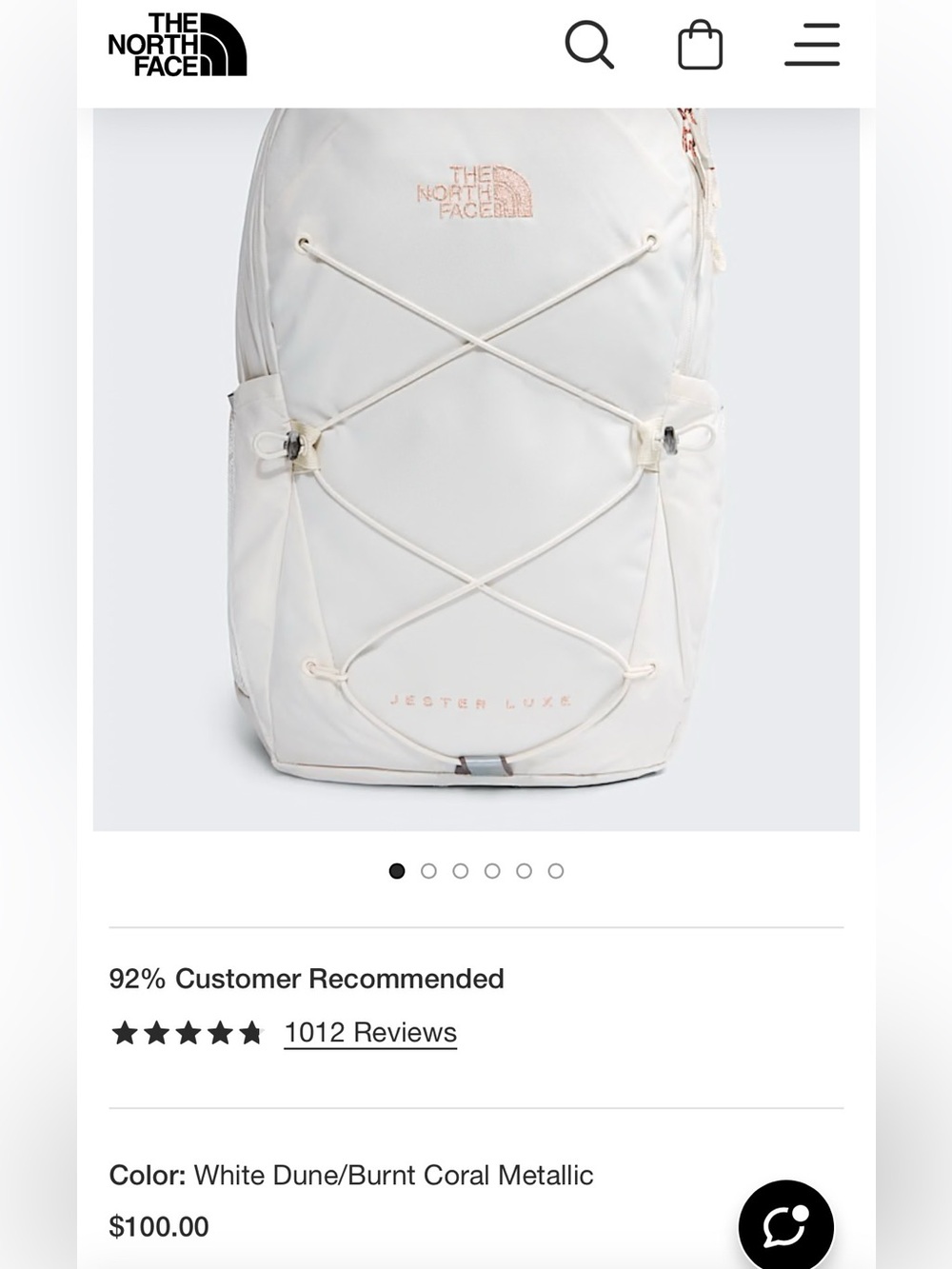 The North Face Jester Luxe Backpack - Picture 9 of 9